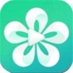小蝌蚪视频在线观看旧版本