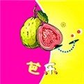 xvdevios中文版软件下载入口